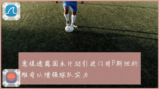 意媒透露国米计划引进门将F斯坦科维奇以增强球队实力